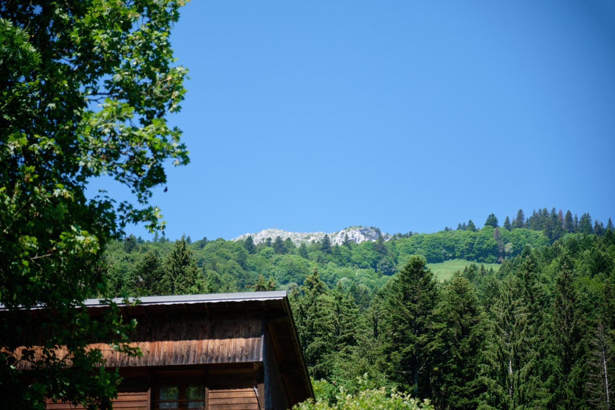Chalet Le Lys Martagon Saint-Pierre-d'Entremont (Savoie) Exterior foto